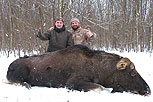 Moose hunt 2009