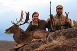 Fallow deer hunt2009